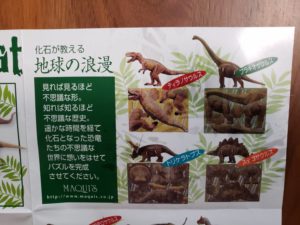 恐竜　化石が教える地球のロマン01