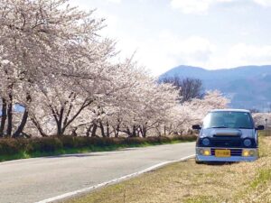 2021-4月-黒アルトちゃんと桜- (2)