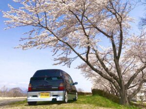 2021-4月-黒アルトちゃんのバックショットと桜- (4)